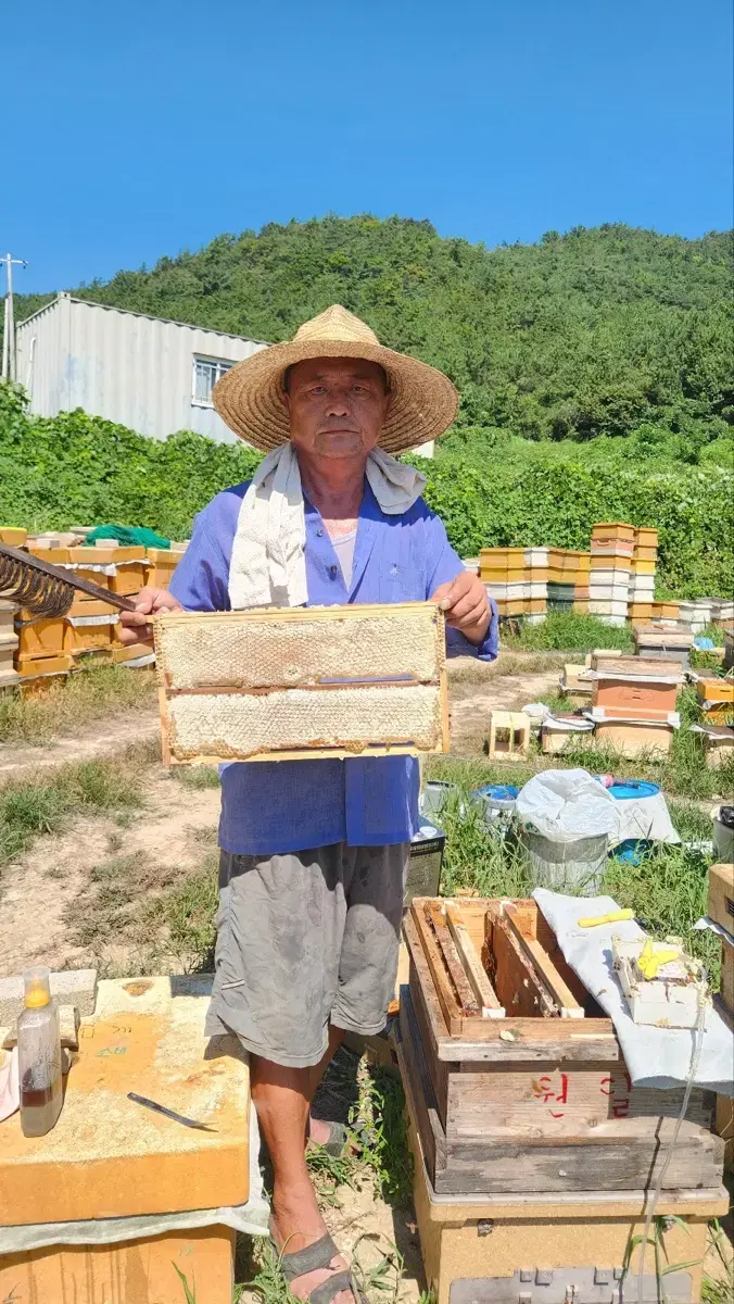 벌집꿀,자연벌꿀/요아정,카페,가정용