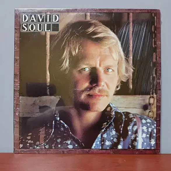 David Soul " Don't Give Up On Us "