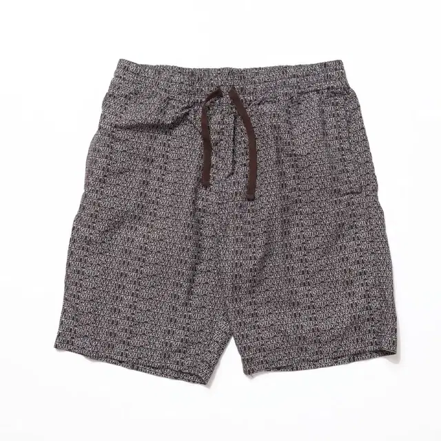 carhartt Typo Shorts