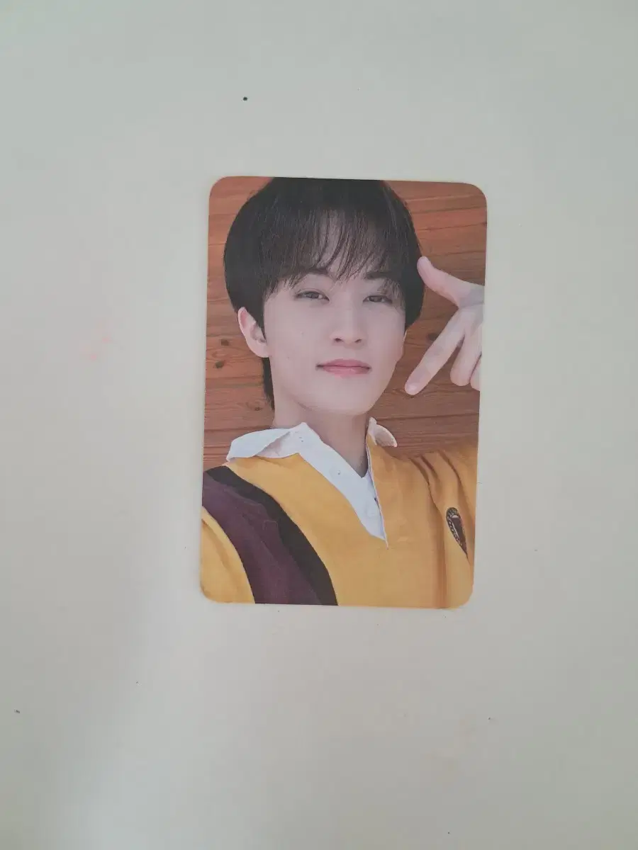 (lowest price!!) mark piggydog walk everline unreleased photocard wts