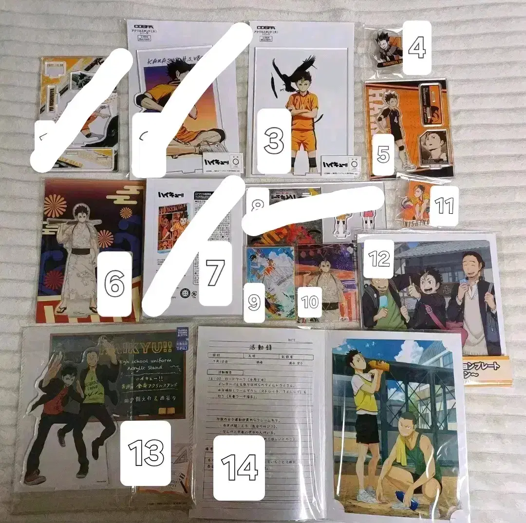 Sells Haikyuu Nishinoya merchandise