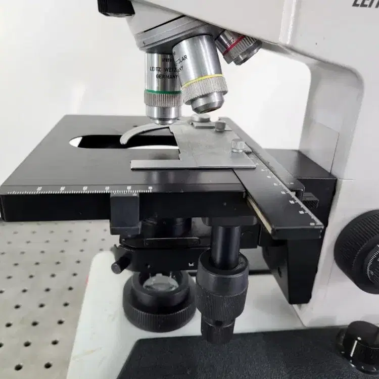 LEITZ LABORLUX S Microscope 현미경