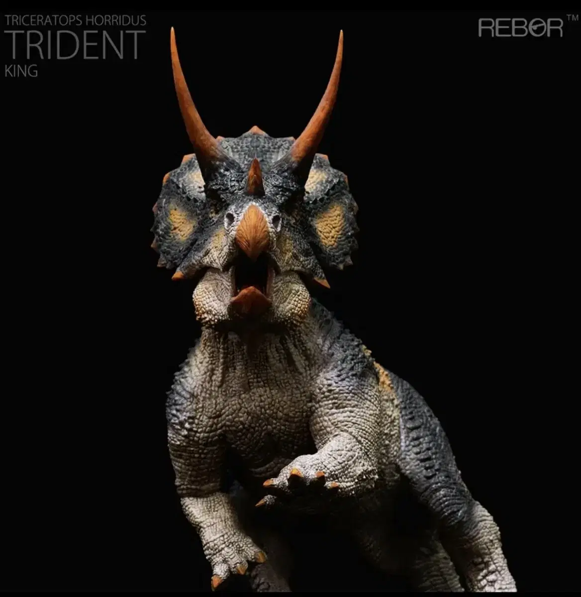 REBOR/REBOR Alpha Male Triceratops horridus "Trident" King