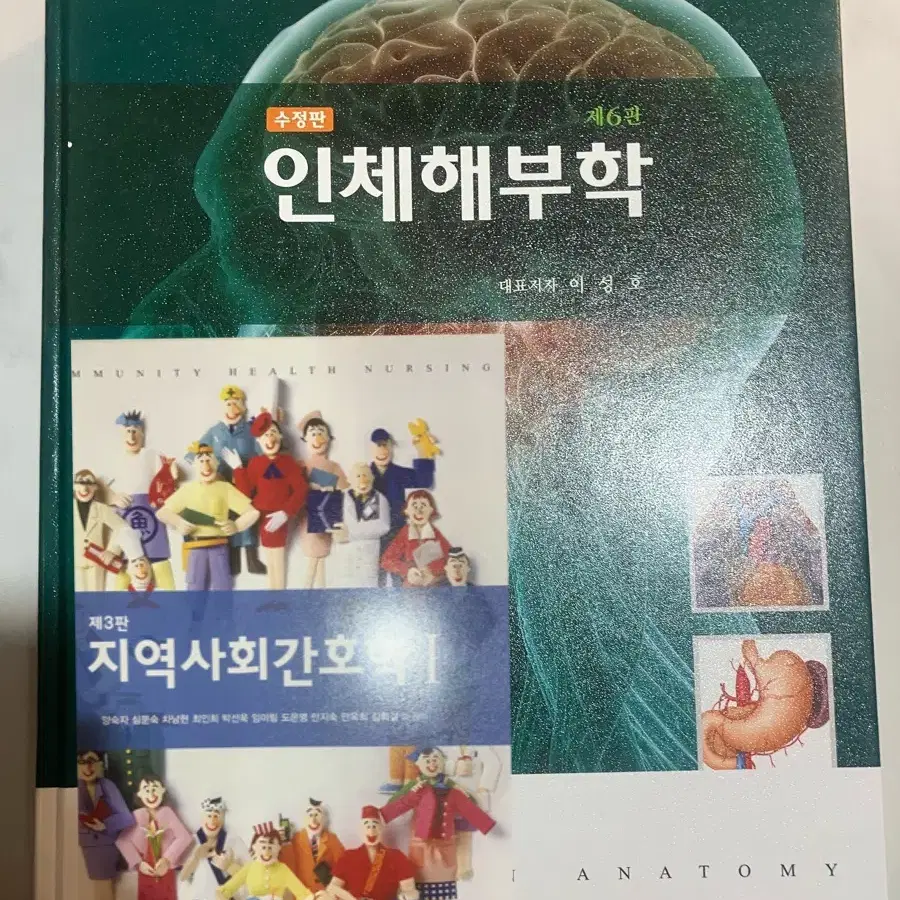 간호 전공책 팝니다