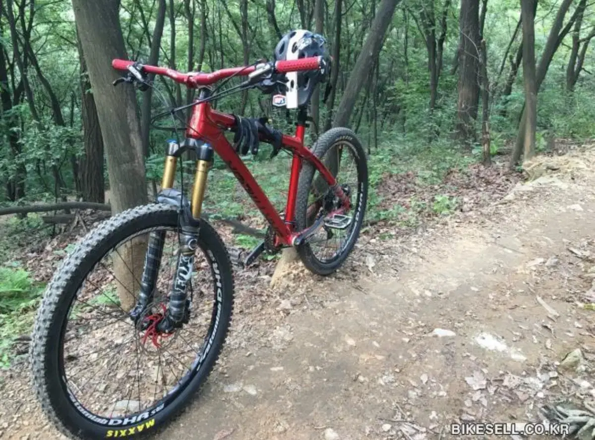 Dartmoor Hornet MTB for sale