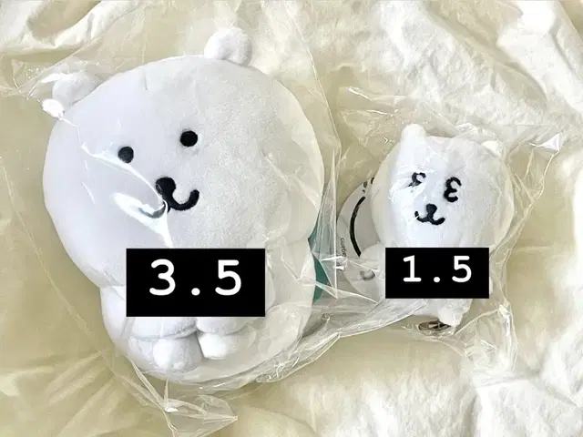 체육곰, 눈팅곰 판매합니다!