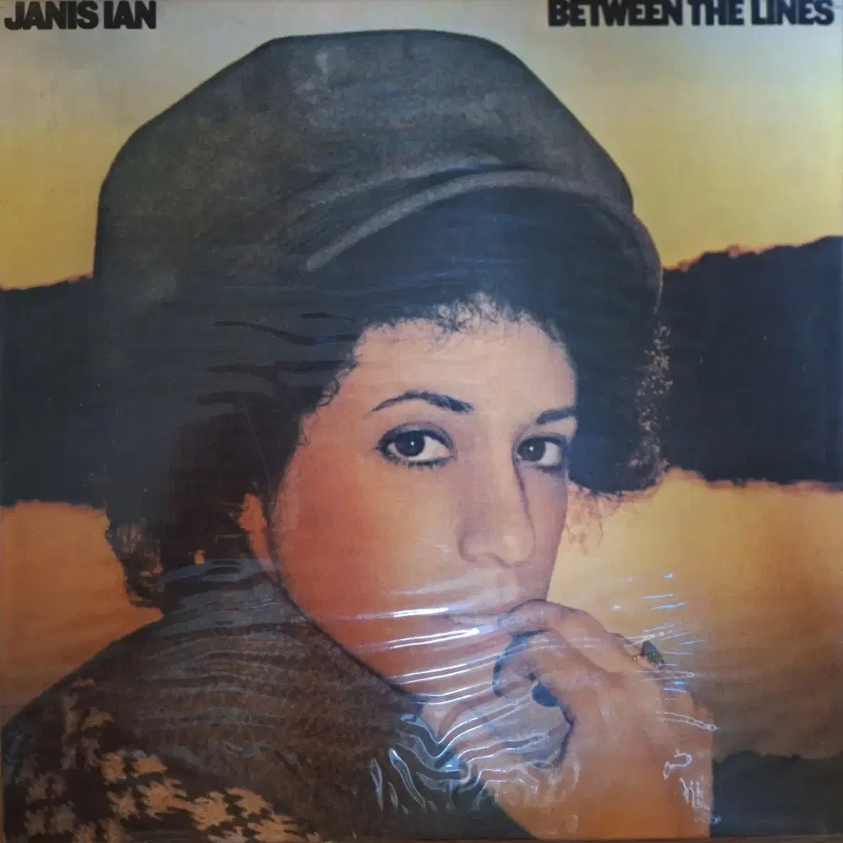 국내라이센스반/Janis Ian LP