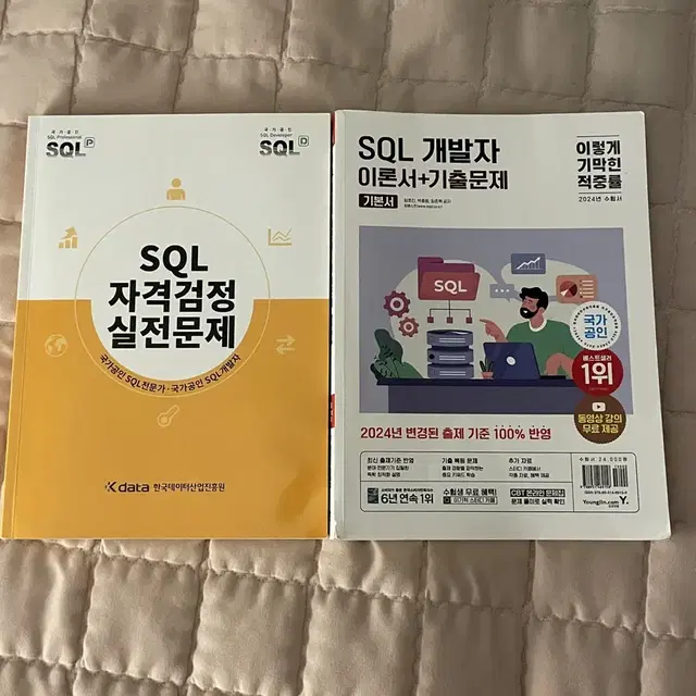 sqld 노랭이 이기적