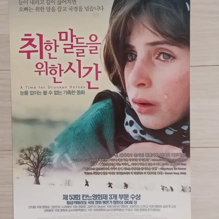 바흐만고바디 감독 취한말들을위한시간(2004년)