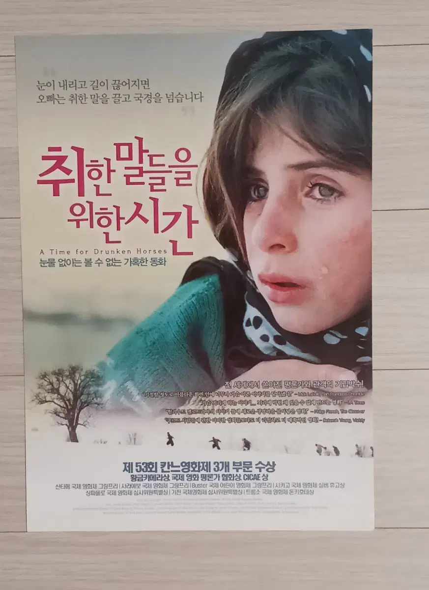 바흐만고바디 감독 취한말들을위한시간(2004년)