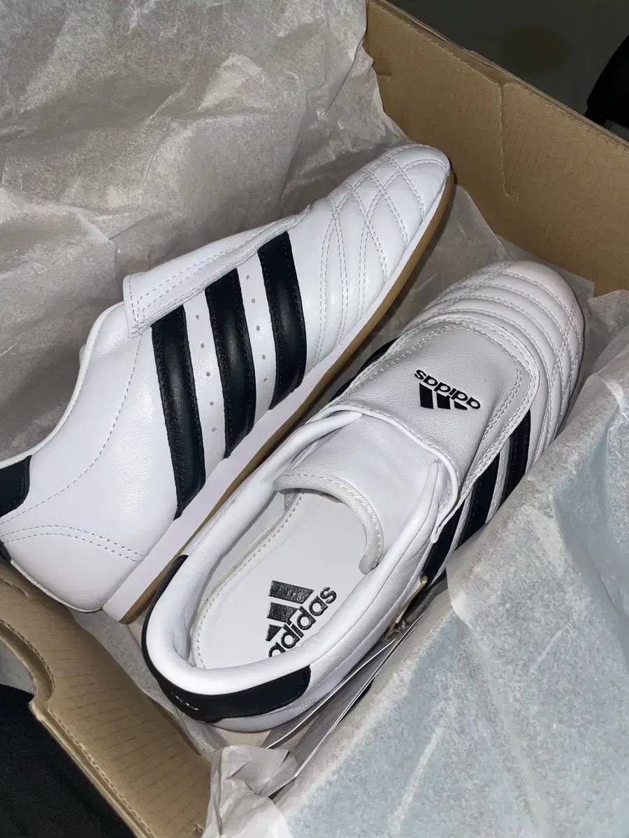 Adidas Taekwondo Shoes