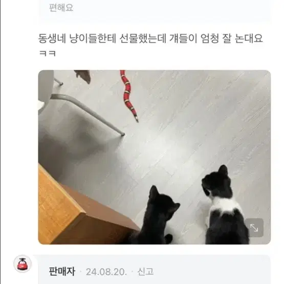 고양이 자동장난감 박스만 없는 새상품