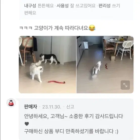 고양이 자동장난감 박스만 없는 새상품