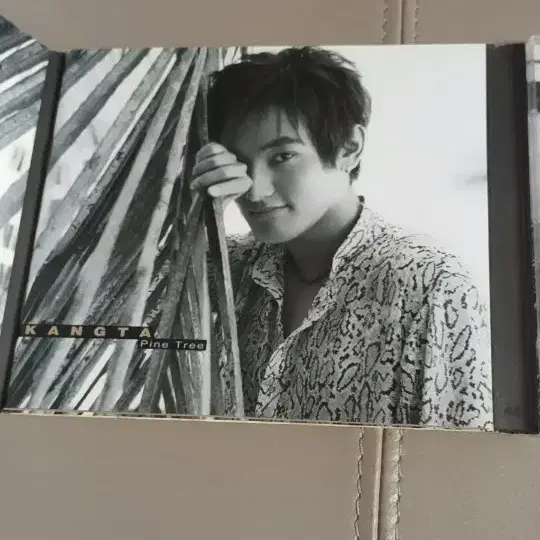 강타 pinetree cd