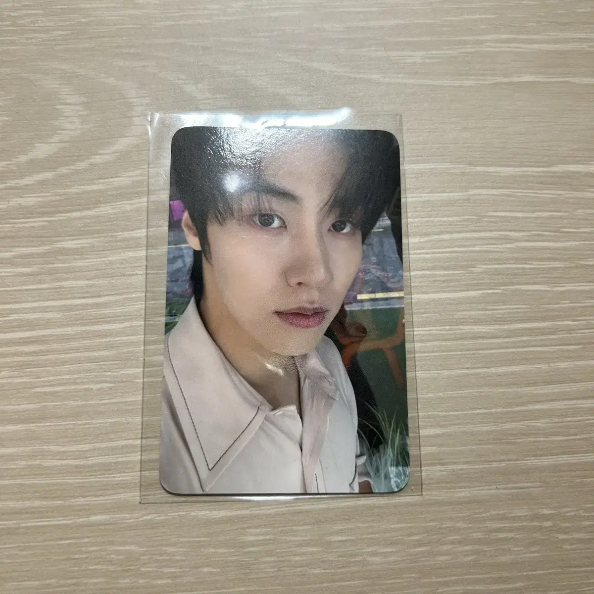 Sunuptu popup store photocard