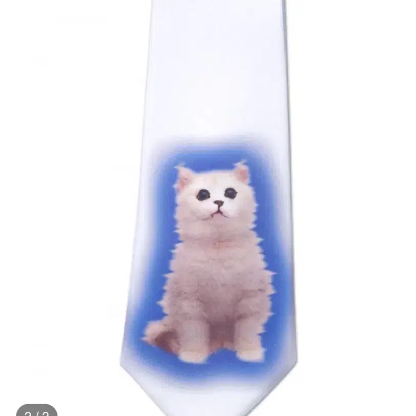 카터 Rarest Cat Necktie