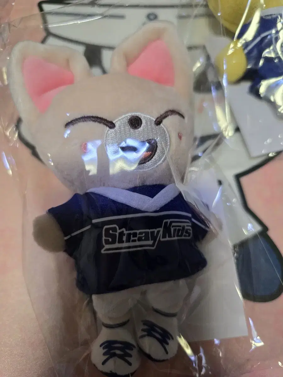 Skz straykids Japan pop up Foxini i.n Jungin Baekcham skzoo Dolls