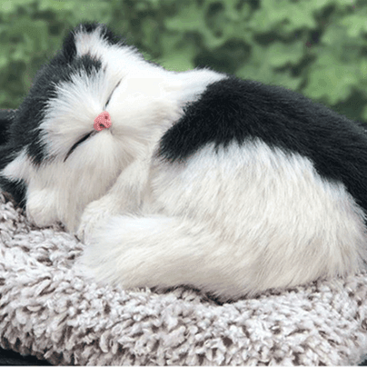 새 코리안 숏 고양이 차량용 미니 동물 제습 인형 활성탄 탈취 공기 청정