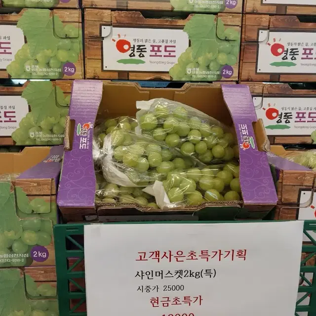 샤인머스켓 2kg(특)