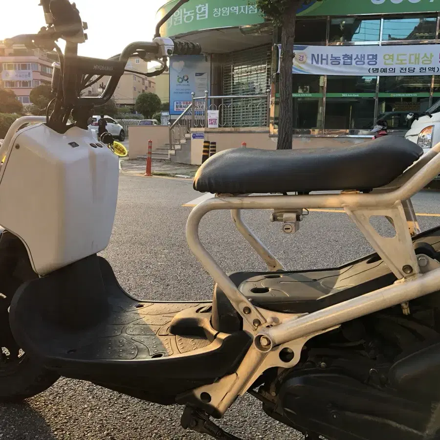 혼다 줌머 50cc