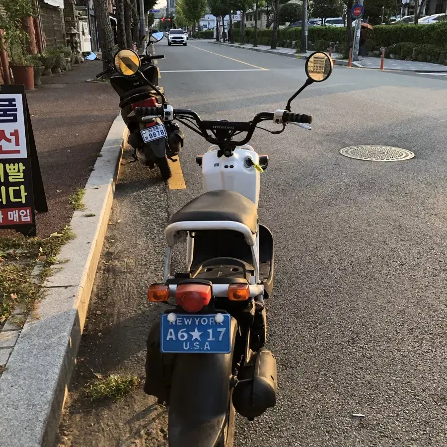 혼다 줌머 50cc