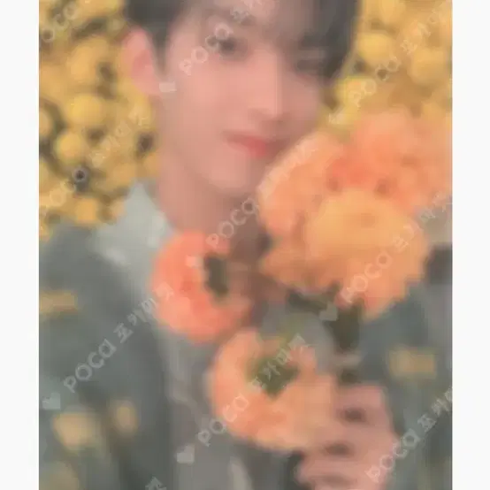 세븐틴 도겸 포카 싸게 양도받아요!