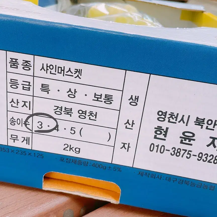 샤인머스켓 2kg 3수