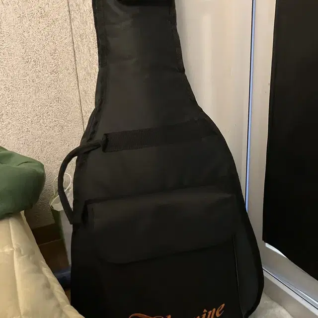 [Takamine]타카미네 통기타 D5D NAT