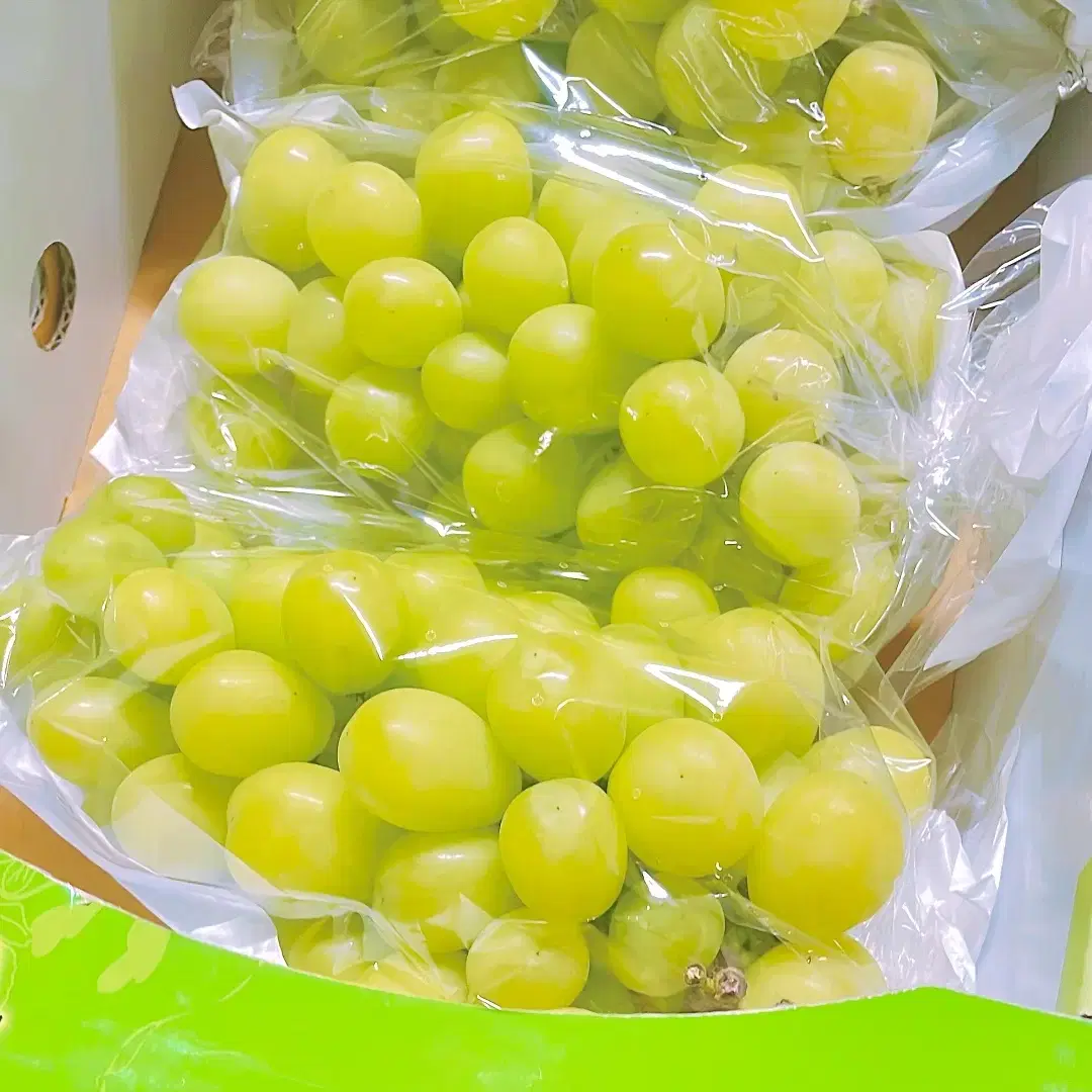 샤인머스켓2kg