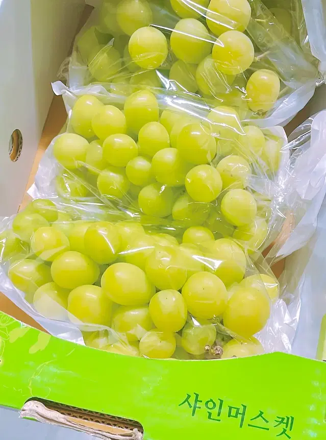 샤인머스켓2kg