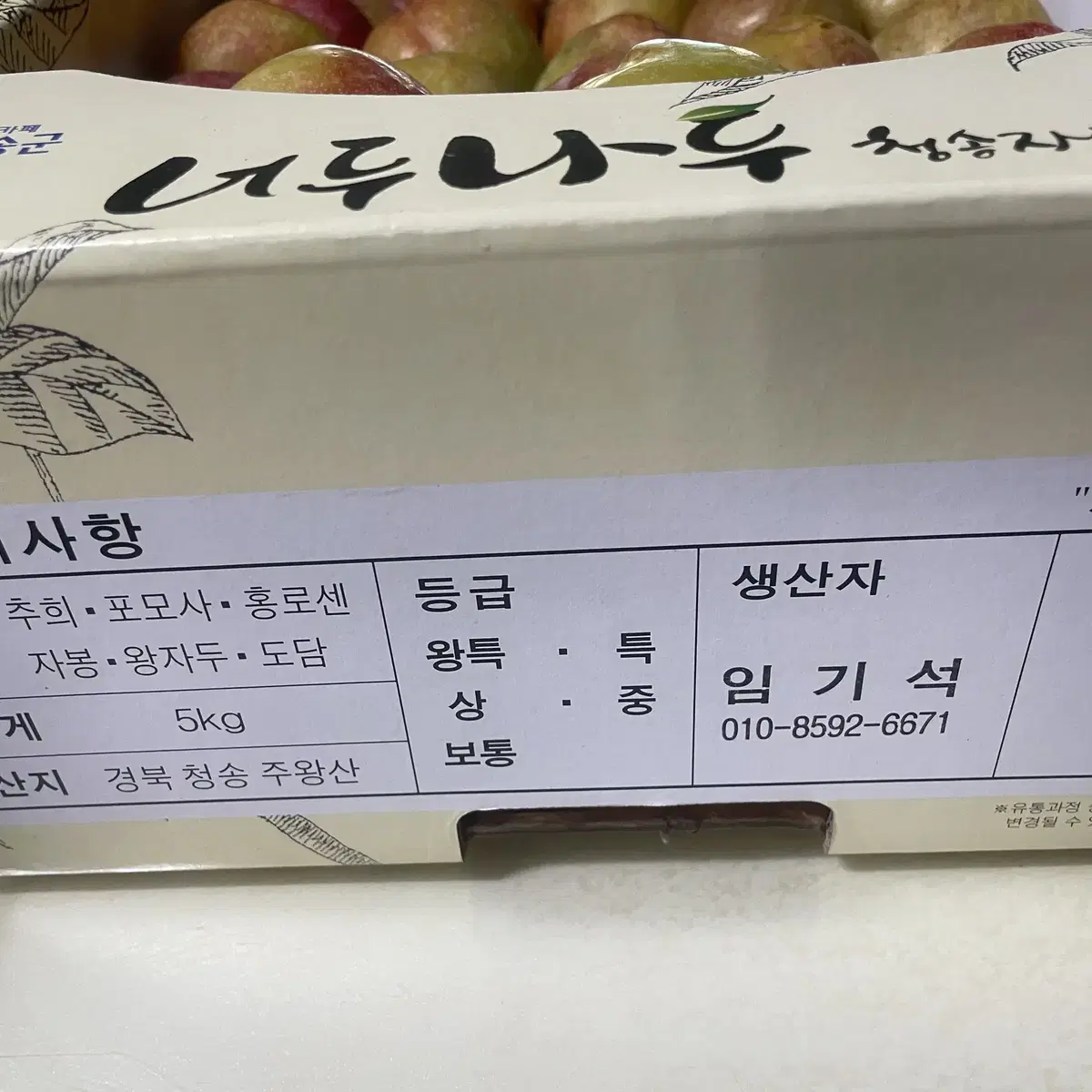 추희자두5kg