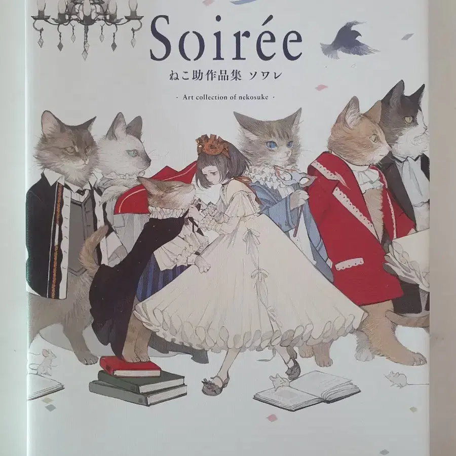 Nekosuke 네코스케 일러스트집 soiree