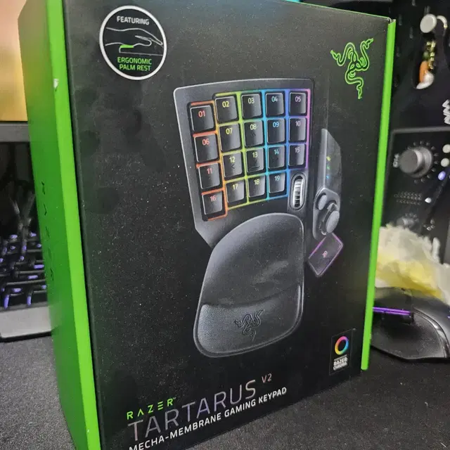 Razer 타르타로스 v2