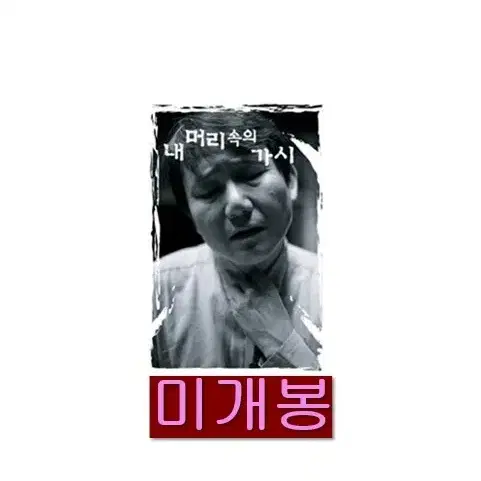 김창기 - 2집 / 내 머리속의 가시 (미개봉, CD)