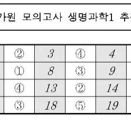 2025 김현우 복영 구매