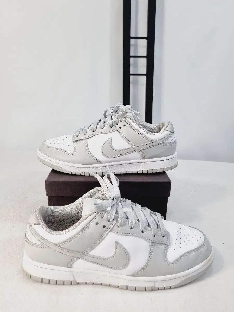 Nike Dunk Low Retro Grey Fog 270