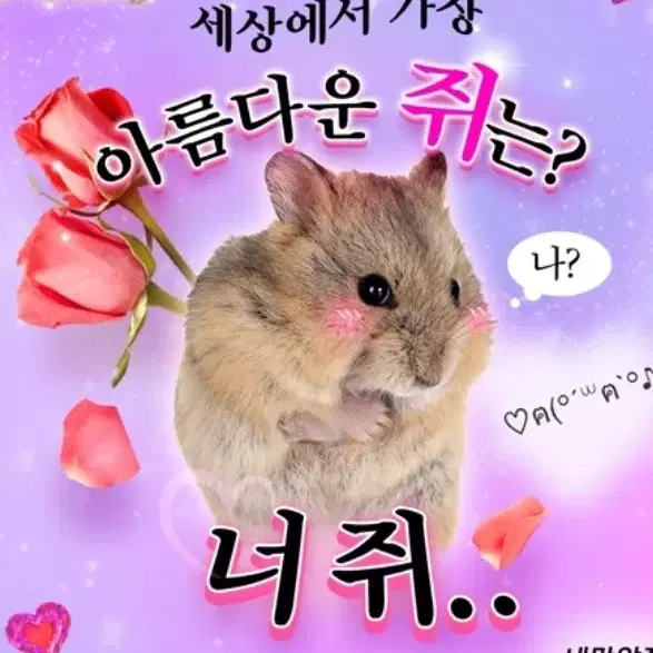 아이브 랜박