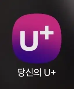 lg 데이터 2기가