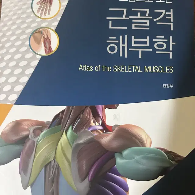 해부학 생리학 책 팝니다