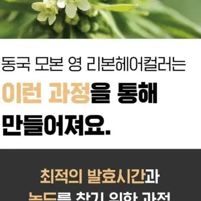 자연유래무향 동국모본영 리본헤어컬러 저자극염모제 1박스 10팩 염색 미용