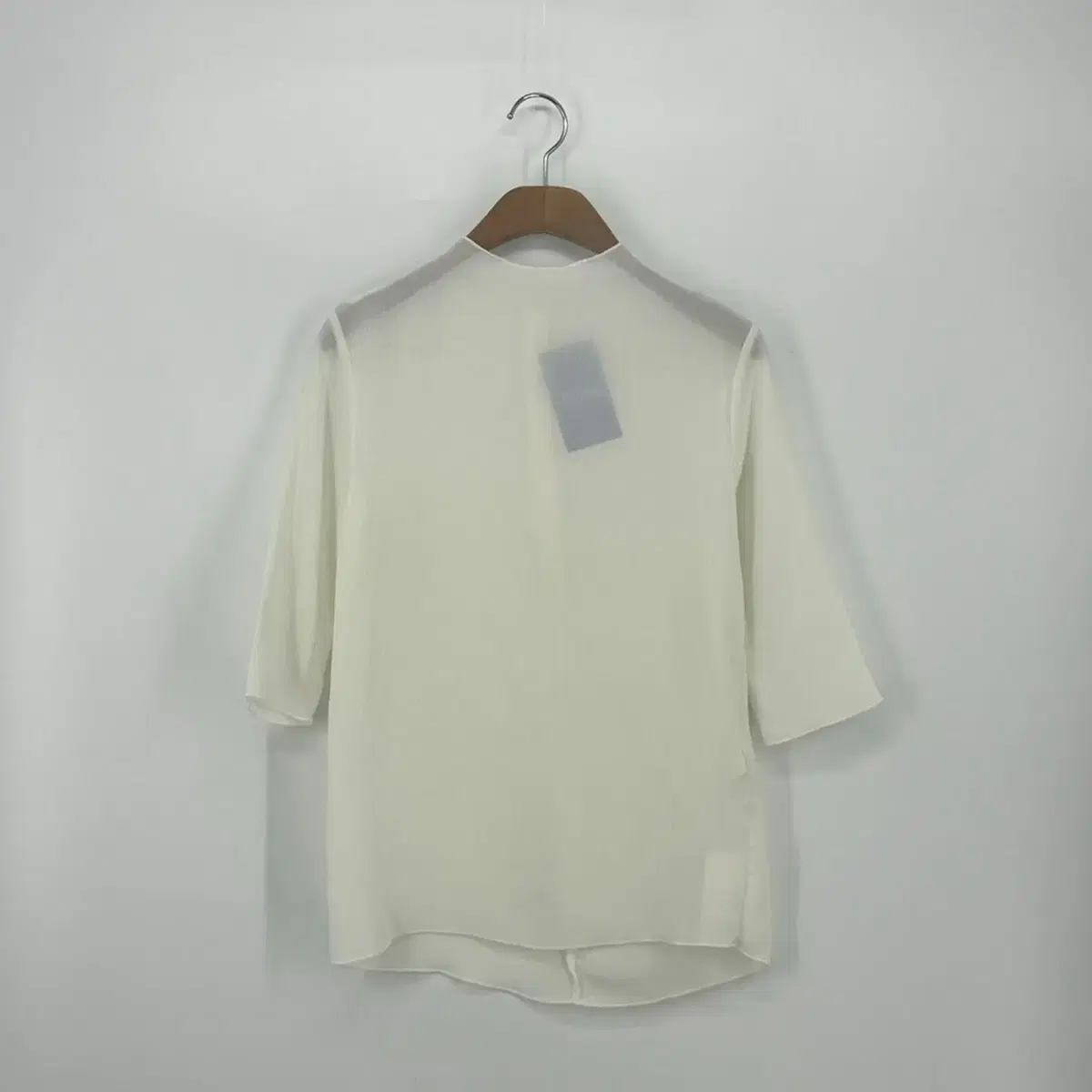 Short-sleeved see-through blouse (F size / IVORY)