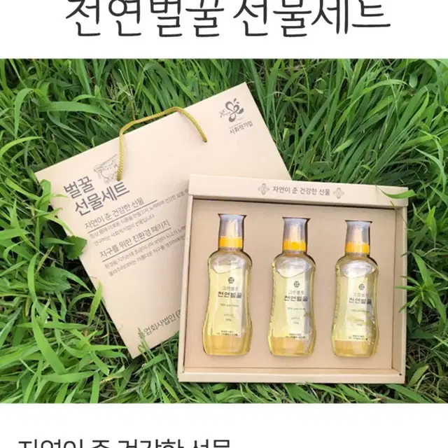 (미개봉)천연 벌꿀 선물세트 2호 500g X2개입