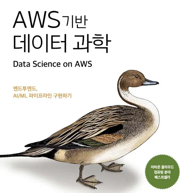 AWS 기반 데이터 과학