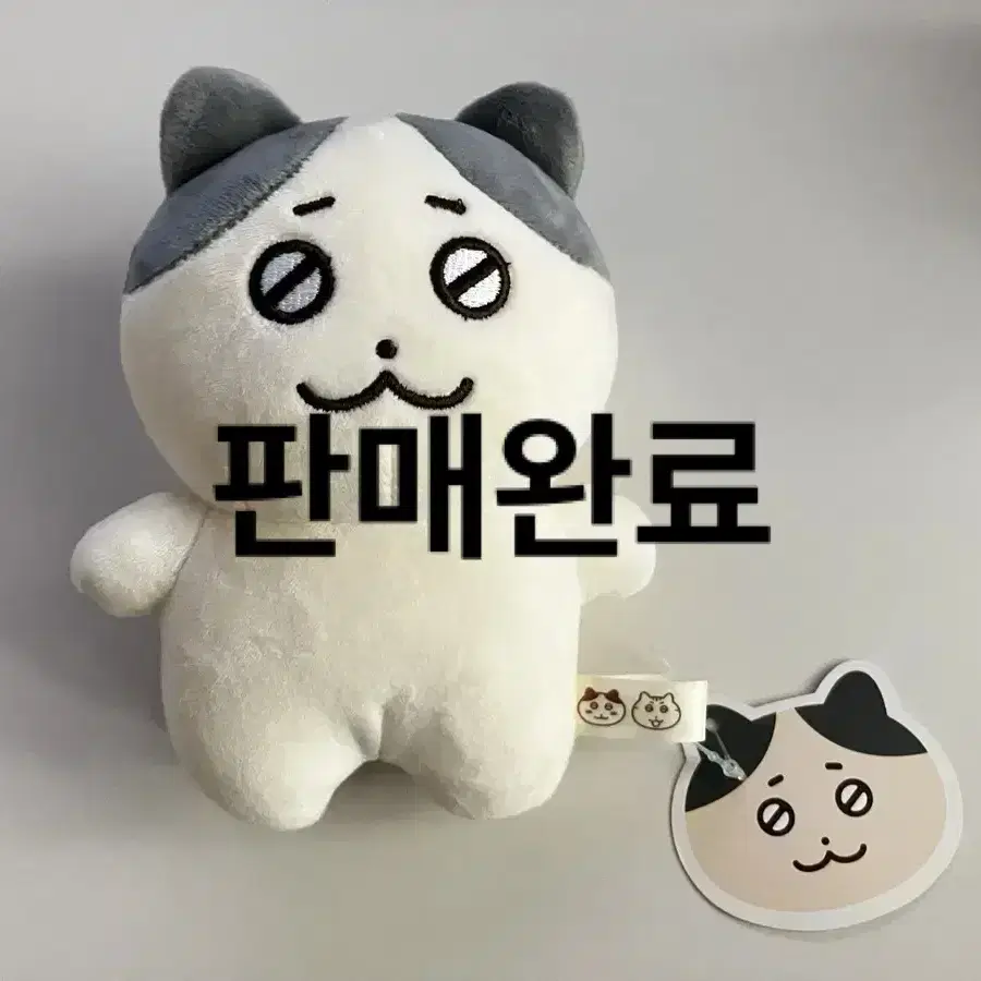 틴틴팅클 틴틴이 15cm 인형 양도 판매