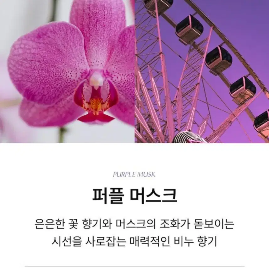 멈칫 섬유향수