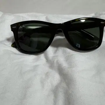 Ray-Ban 선글라스