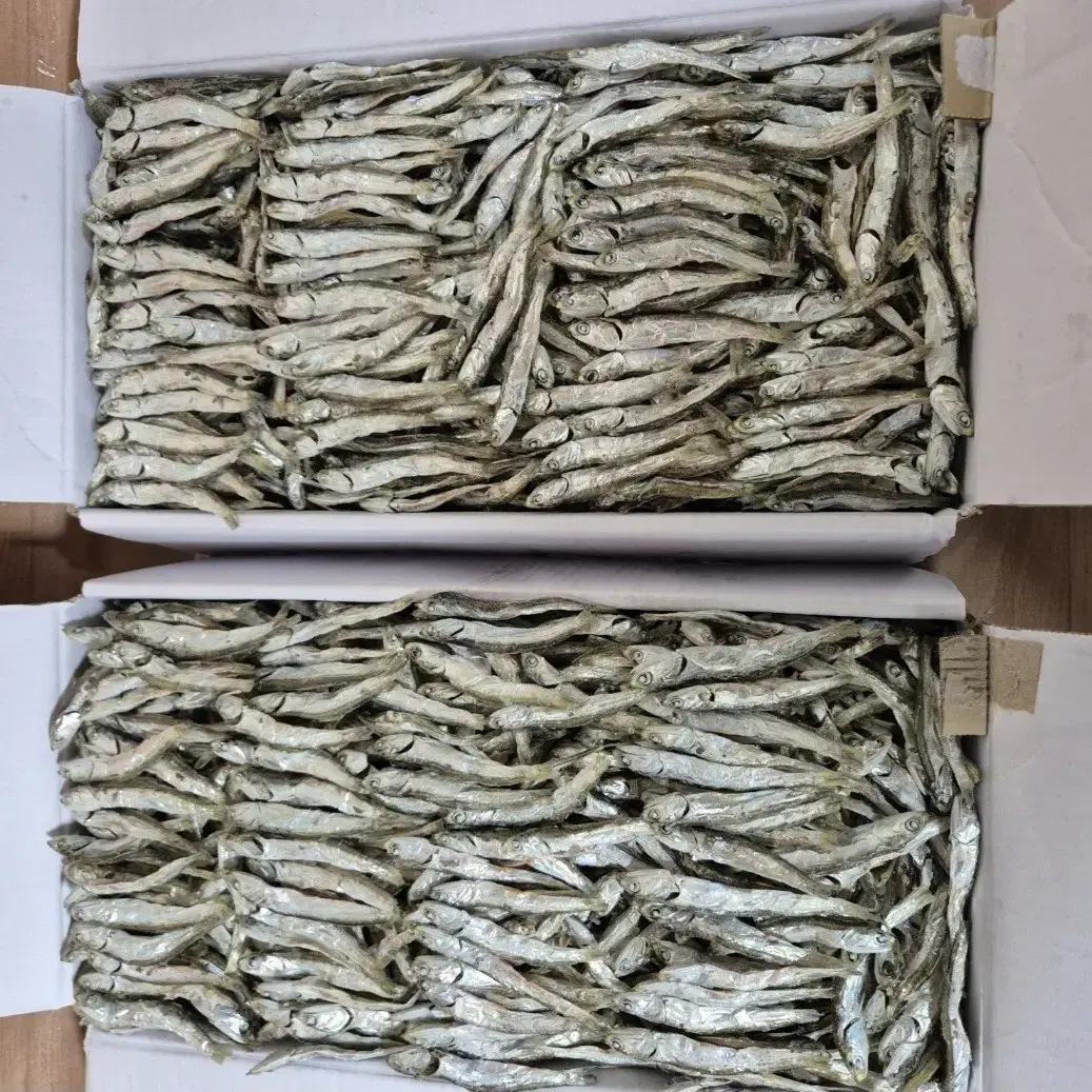 완도산 명품 햇 죽방멸치 대사이즈 1.5kg 1박스