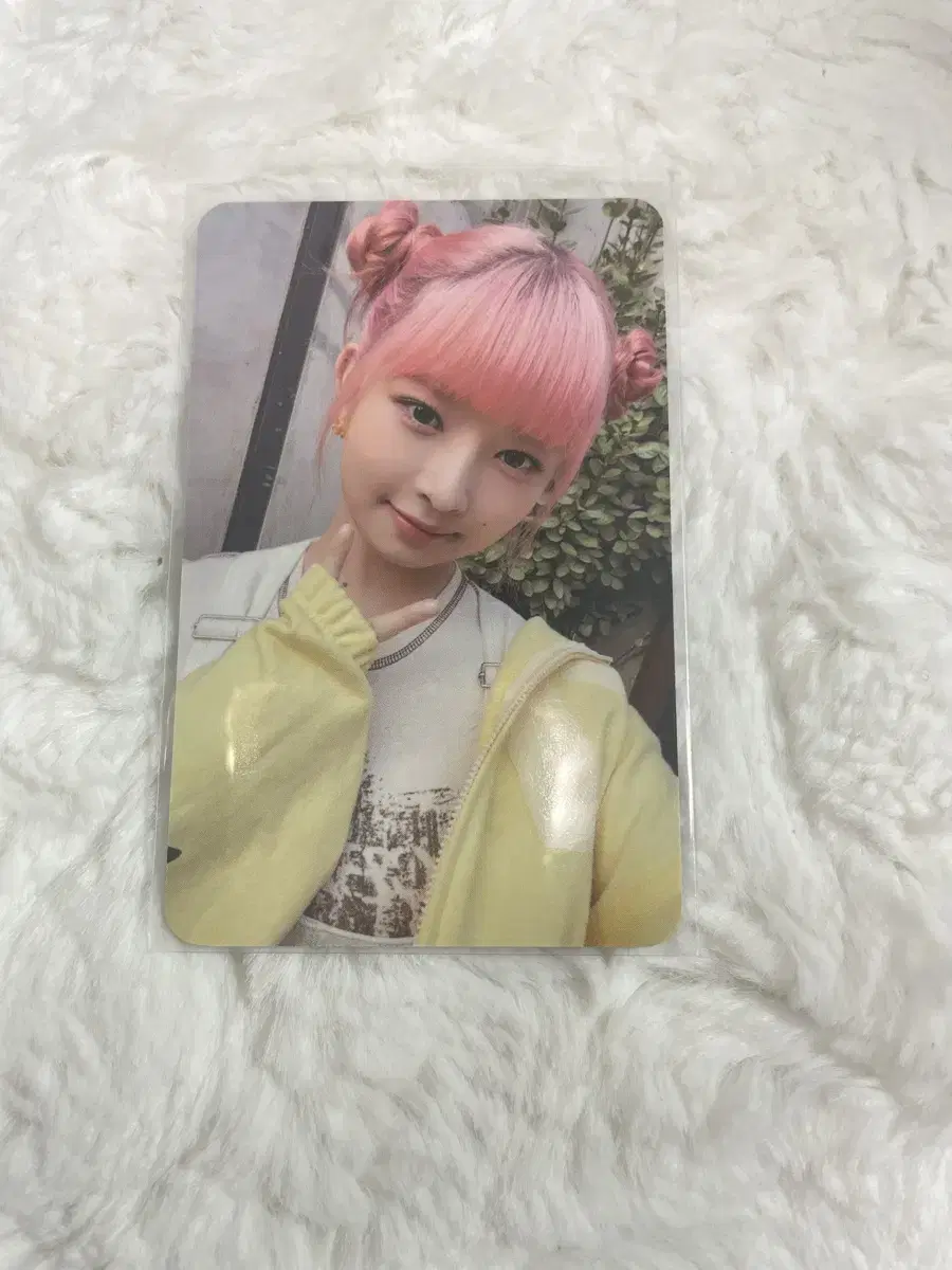 ive cornbeard tea ochu lay photocard wts