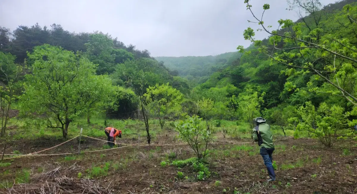 전라북도 쌍치면 옥산리 18 전 매매