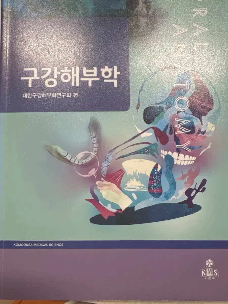 구강해부학